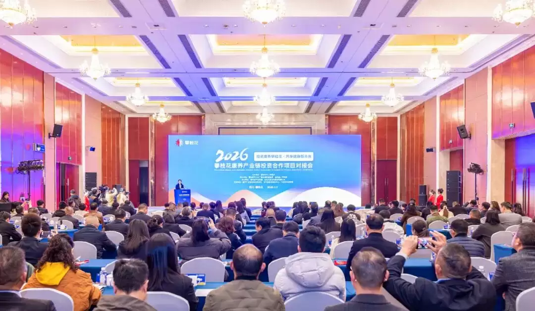 攀枝花康养产业链投资合作项目对接会举行，多方共探康养产业建圈强链新路径？-会东网