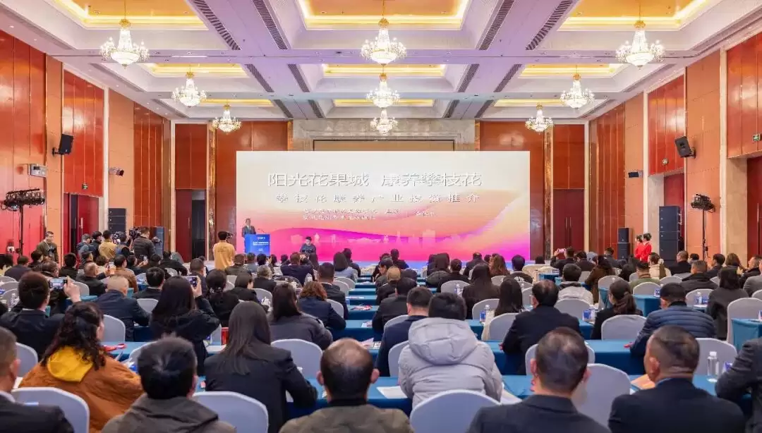 攀枝花康养产业链对接会：多维体验、智慧碰撞与精准对接，能为产业发展带来什么插图5