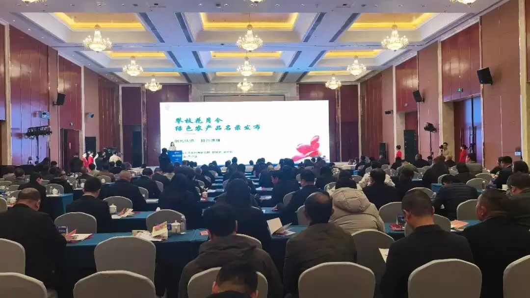 攀枝花康养产业链对接会：多维体验、智慧碰撞与精准对接，能为产业发展带来什么插图4