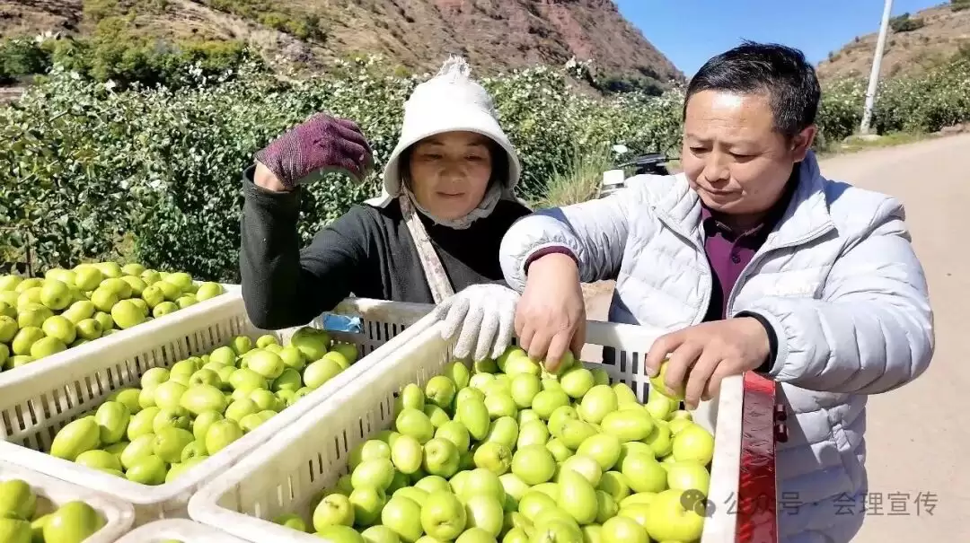 新春走基层：会理树堡乡怎样凭借 “以水兴业 以业富民”，引领群众踏上增收致富路？插图1