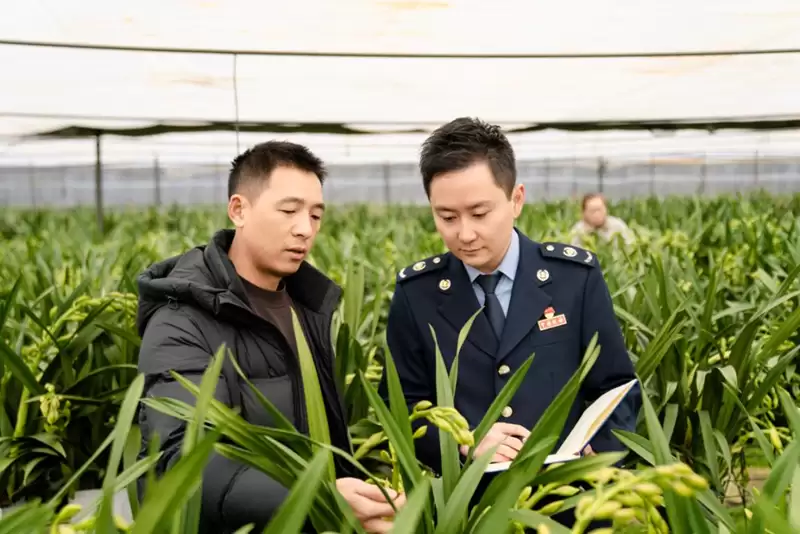 西昌市税务局聚焦花卉产业关键环节，如何以全链条服务助力企业合规经营与 “美丽经济” 发展？-会东网