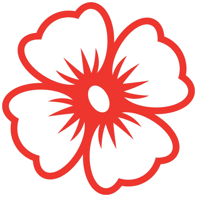 当别处冰天雪地，西昌邛海樱花谷冬樱花却唯美绽放，如何赴这场冬日花约？有何赏花攻略？插图6