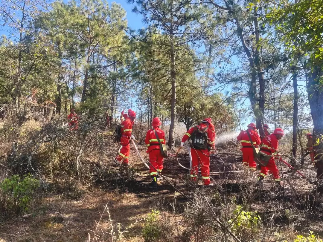 会东县2026年“守护青山”森林草原防灭火演练插图2