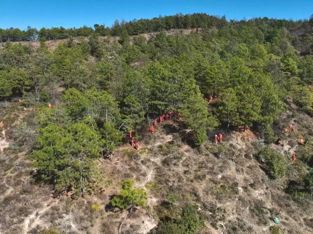 会东县2026年“守护青山”森林草原防灭火演练插图5