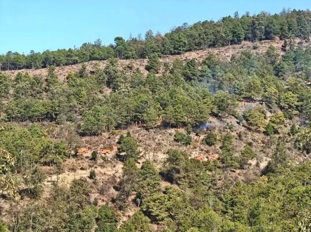 会东县2026年“守护青山”森林草原防灭火演练插图1