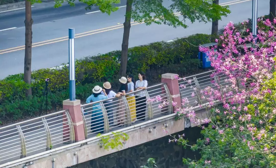 凝心聚力绘蓝图 砥砺奋进启新程——攀枝花市十一届人大六次会议隆重开幕插图3 凝心聚力绘蓝图 砥砺奋进启新程——攀枝花市十一届人大六次会议隆重开幕插图3