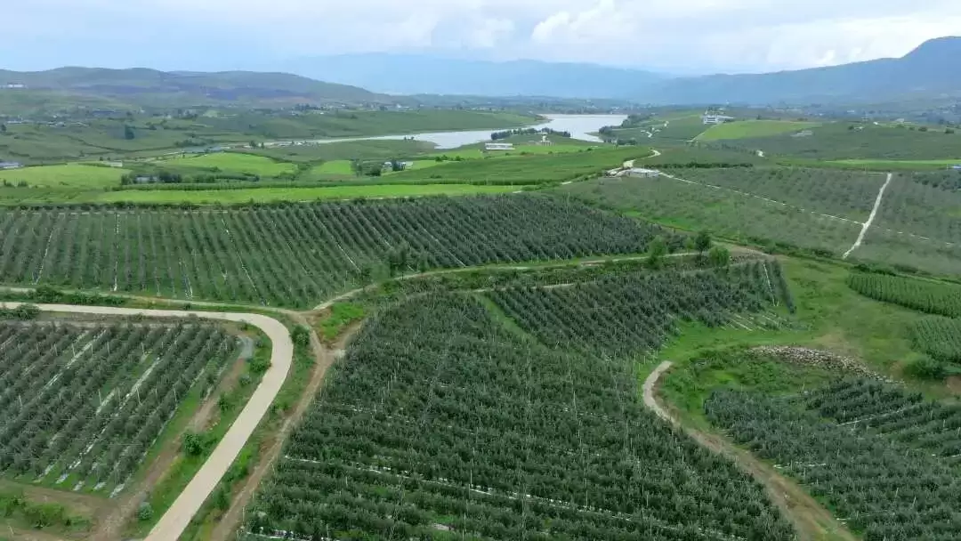 三链融合兴县域 凉山以特色产业筑牢群众增收根基插图1