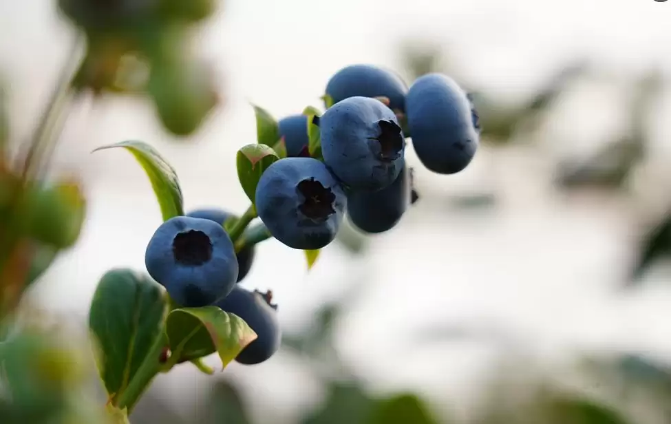政策送暖 消费焕新 民生无忧——会东县以实干绘就“消费旺、百姓富”的幸福画卷-会东网