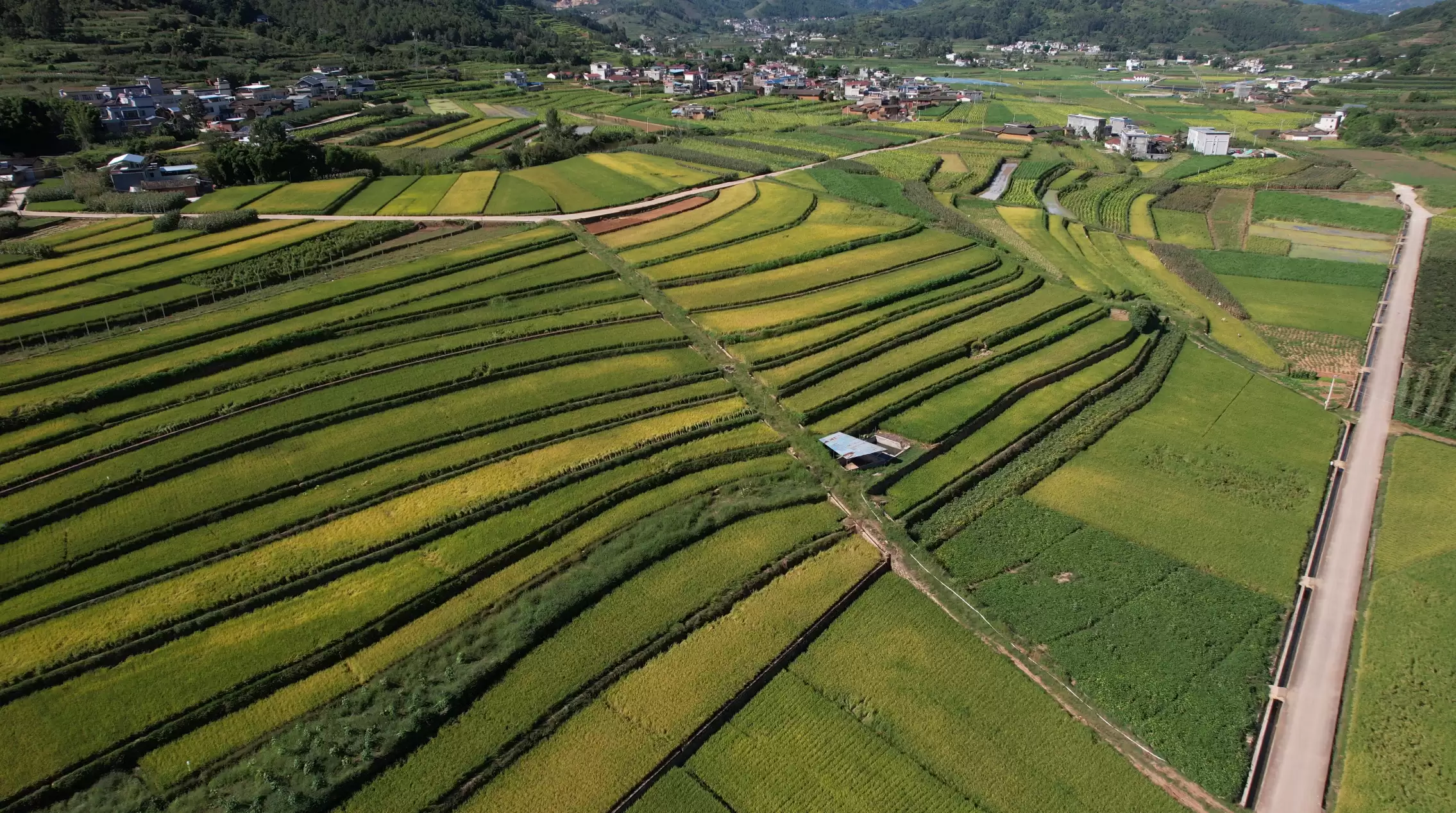 会理 “清洁村庄” 行动，描绘乡村振兴绚丽新图景插图3