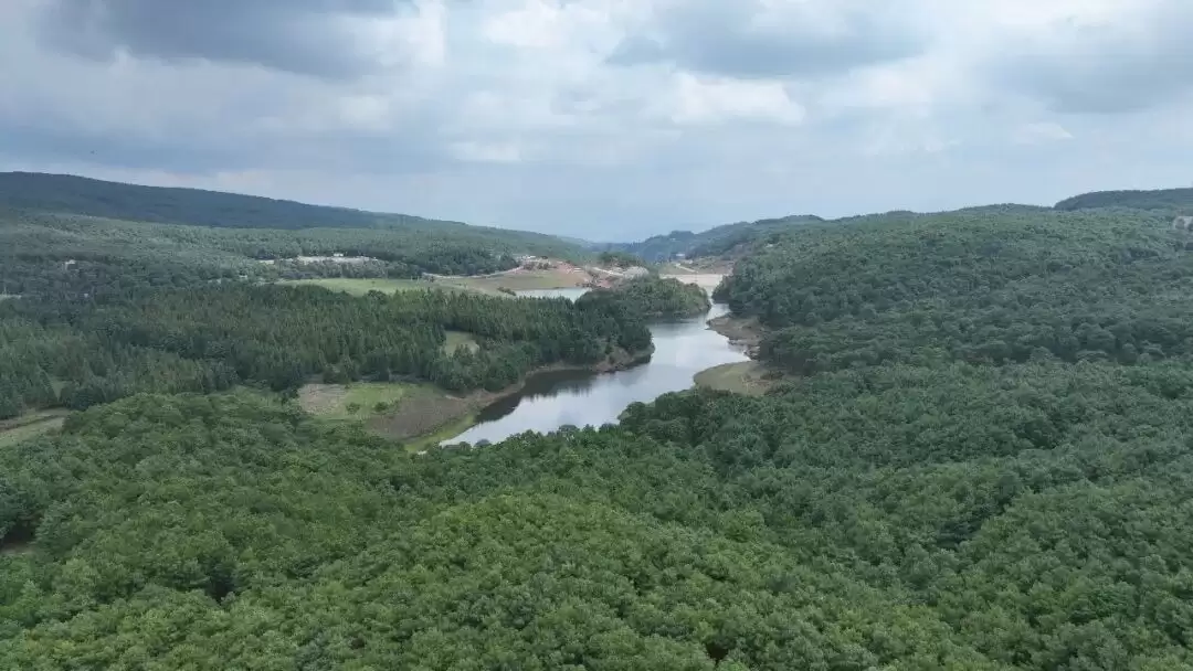 川滇明珠网｜绿满会东：森林 “四库” 联动 走出生态惠民 “会东路径”-会东网