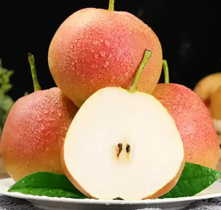 会东火把梨，生长在海拔2500米的水果！插图3