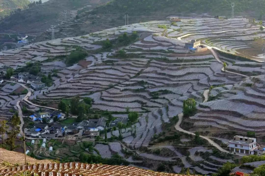 会东县何时召开地膜科学使用回收工作推进会？2025 - 2026 年相关工作有哪些部署？-会东网