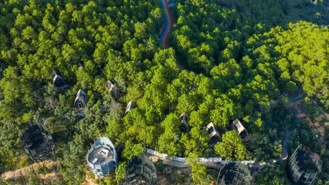 “五一”会东旅游怎么玩？老君峰、鲁南山、姜州花湖各有啥特色？插图6