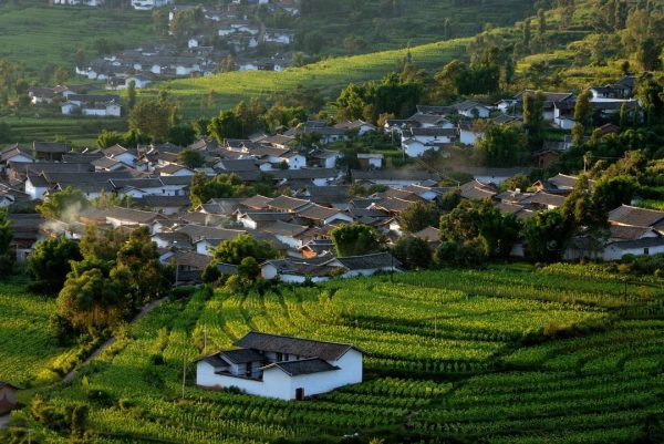 会东今年,我69岁,我的目标是成为川滇最璀璨的明珠插图 会东今年,我69岁,我的目标是成为川滇最璀璨的明珠插图