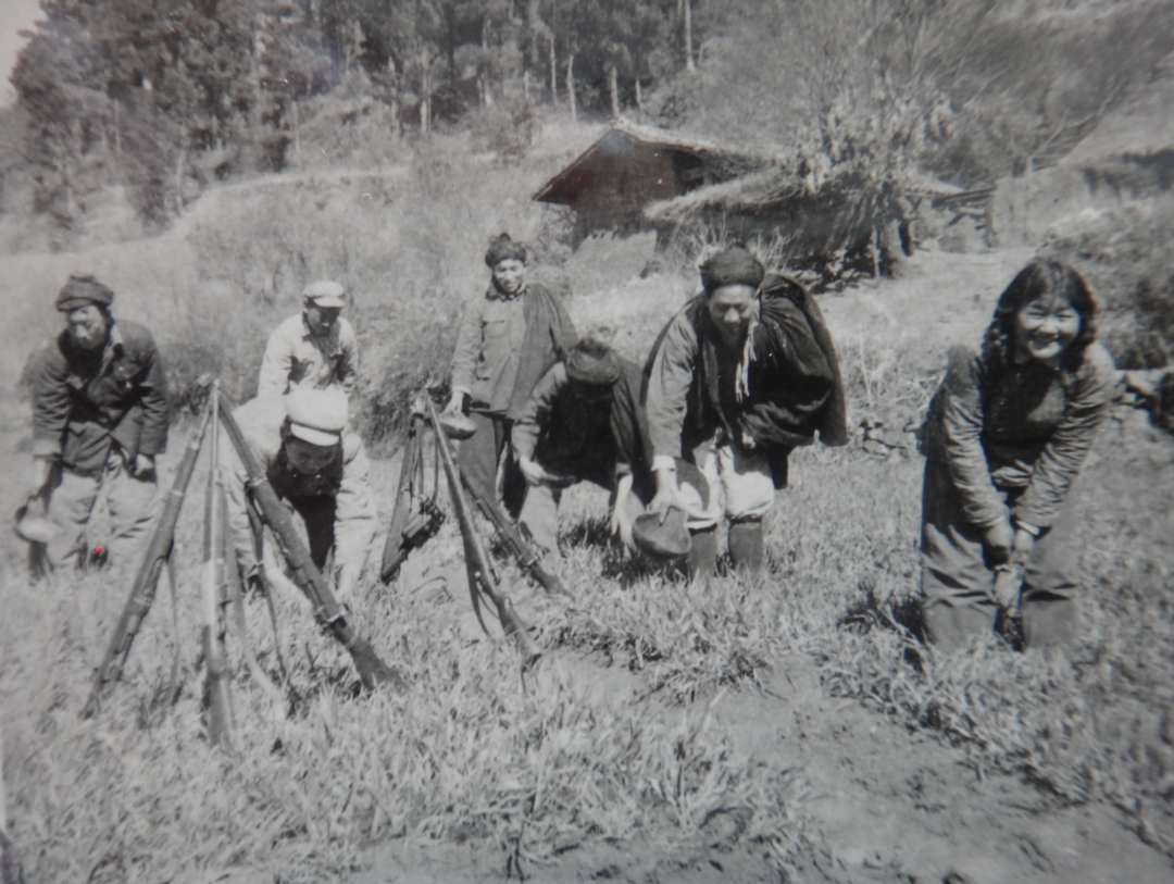 会东今年,我69岁,我的目标是成为川滇最璀璨的明珠插图8 会东今年,我69岁,我的目标是成为川滇最璀璨的明珠插图8