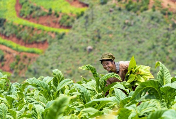 会东今年,我69岁,我的目标是成为川滇最璀璨的明珠插图10 会东今年,我69岁,我的目标是成为川滇最璀璨的明珠插图10