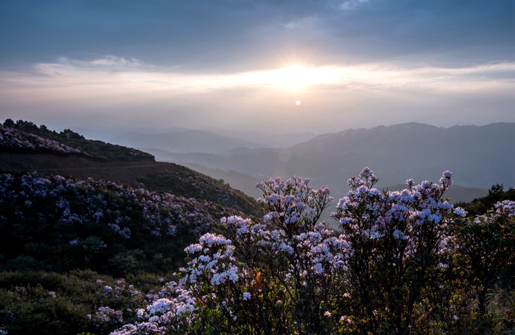川滇明珠会东：脱贫奔康、城乡统筹插图2