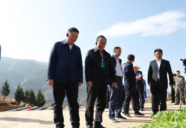 会东网：会东是 中国烤烟第一大县插图3
