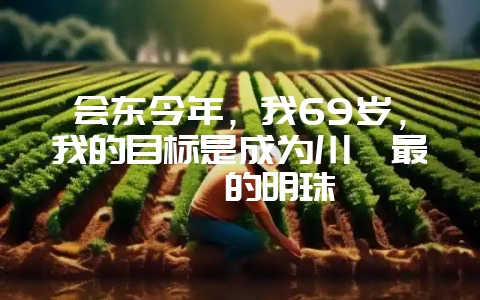 会东今年,我69岁,我的目标是成为川滇最璀璨的明珠-会东网