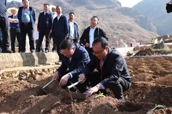 会东网：会东是 中国烤烟第一大县插图2