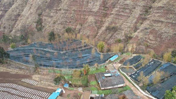 会东养蛙人:返乡农民工王世录-会东网