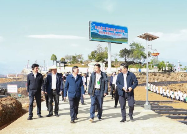 会东网：会东是 中国烤烟第一大县插图