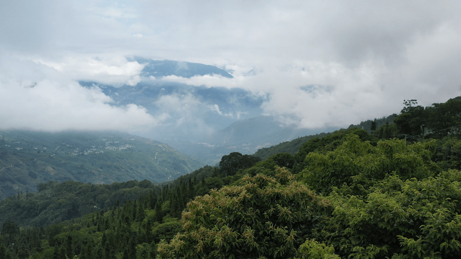 川颠明珠,舌尖上的美食美味插图2 川颠明珠,舌尖上的美食美味插图2