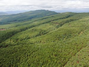 会东县最高峰在哪里?带你探秘鲁南山主峰插图1 会东县最高峰在哪里?带你探秘鲁南山主峰插图1