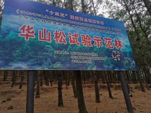 四川凉山州会东县？插图4