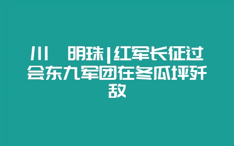 川滇明珠|红军长征过会东九军团在冬瓜坪歼敌-会东网