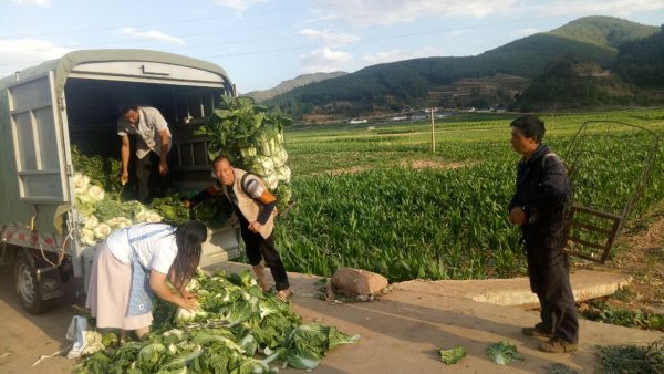 会东县堵格镇邮政编码-会东网
