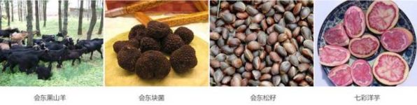 川滇明珠五年就不是你认识插图11