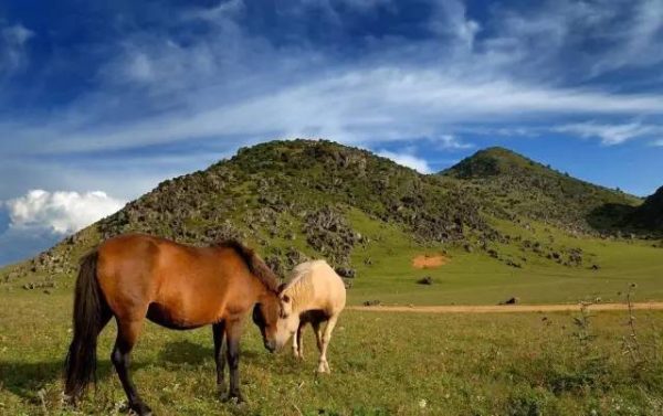 川滇明珠五年就不是你认识插图8