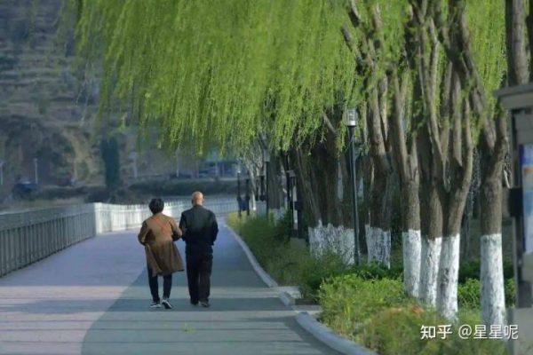 双黑珍馐凉山会东县双黑美食文化节超强来袭（2021年）-会东网