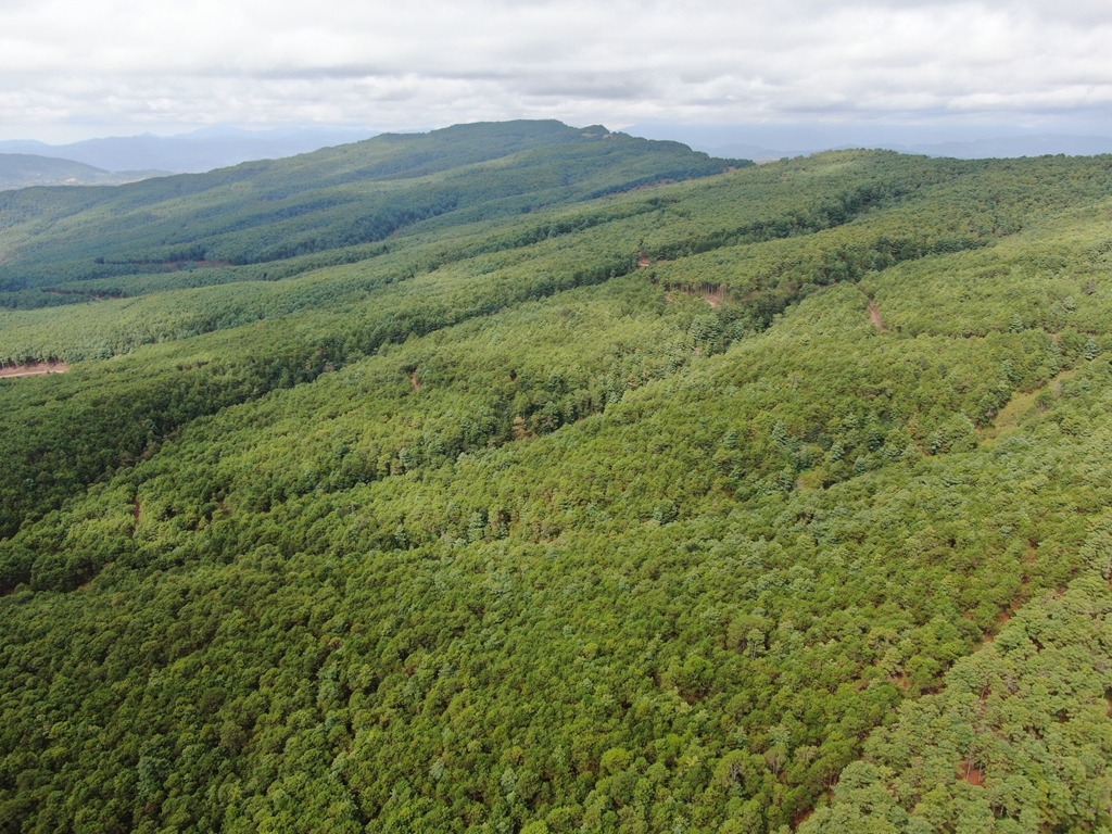 川滇明珠-会东网