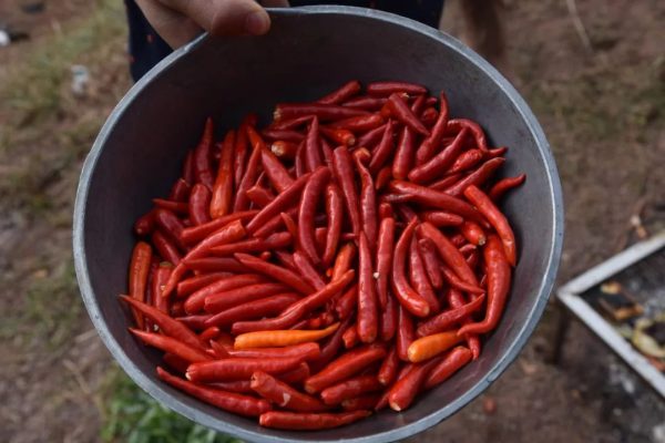 会东人“清明上河宴”最受欢迎的美食插图8
