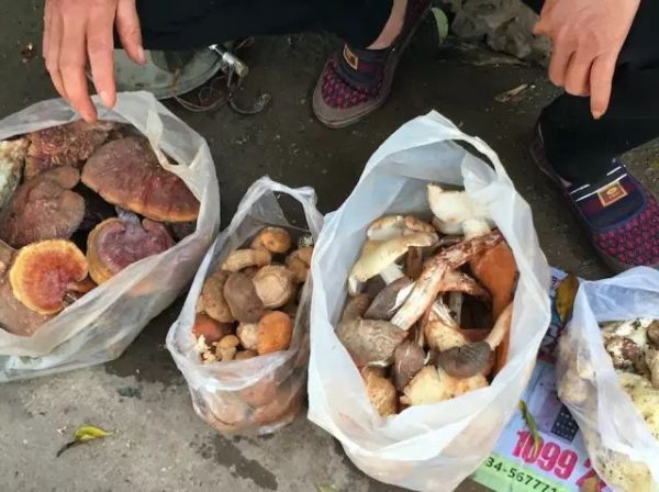 会东小城的美食刷爆了朋友圈！插图23