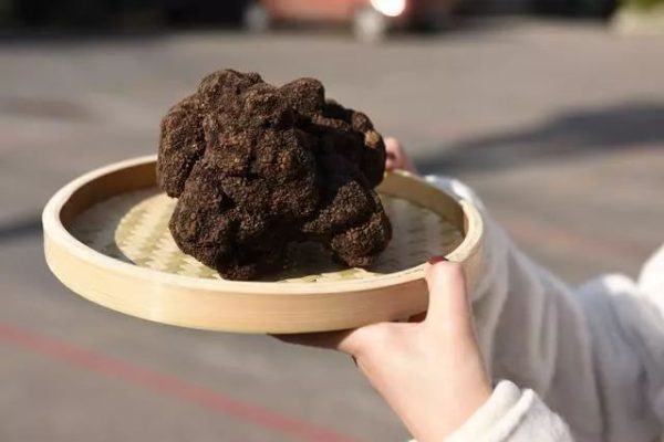 会东资讯网|会东县开展“旅居会东”康养活动！插图3