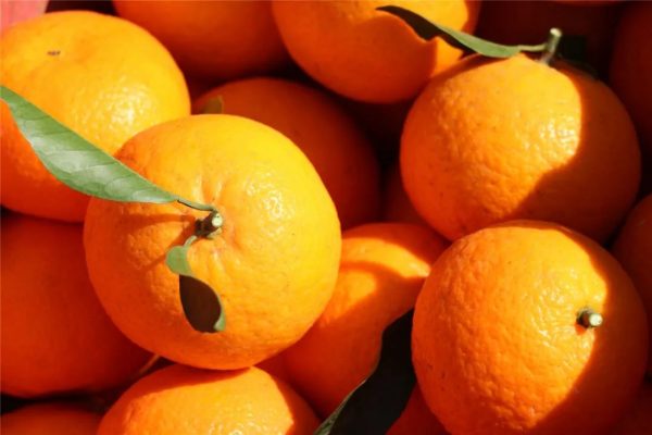 川滇明珠网，金果果盛装插图2