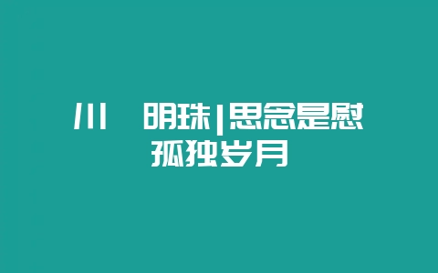川滇明珠|思念是慰藉孤独岁月-会东网