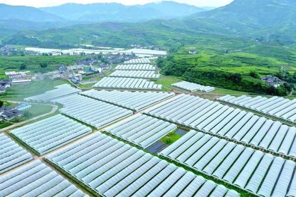 会东新闻：鱼城街道开展残疾人精准康复活动-会东网