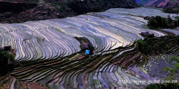 会东资讯网|会东县面积3227平方公里，森林覆盖率42.4%！-会东网