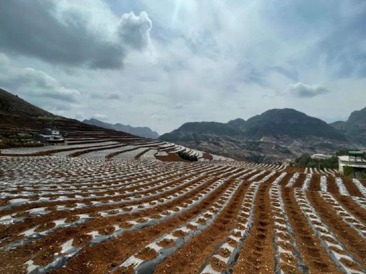 会东新闻：春耕时节 切记防火插图