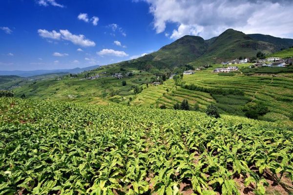 川滇明珠，得天独厚的会东插图3