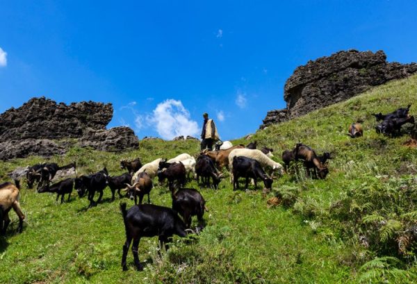 川滇明珠，得天独厚的会东插图5