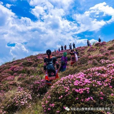 川滇明珠建设新华章-会东网