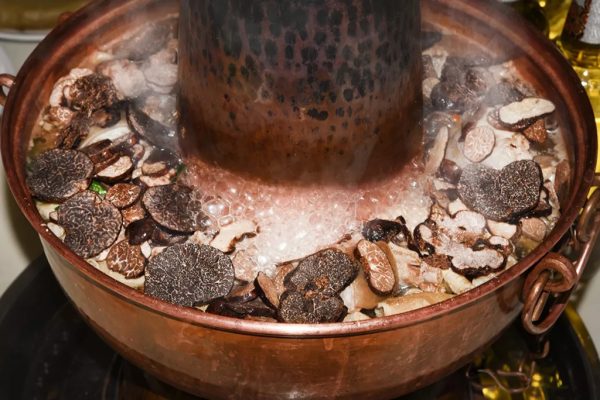 会东块菌：深藏乌蒙山的“黑色黄金”插图3