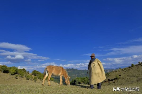 会东县地图,阳光康养和生态康养-会东网