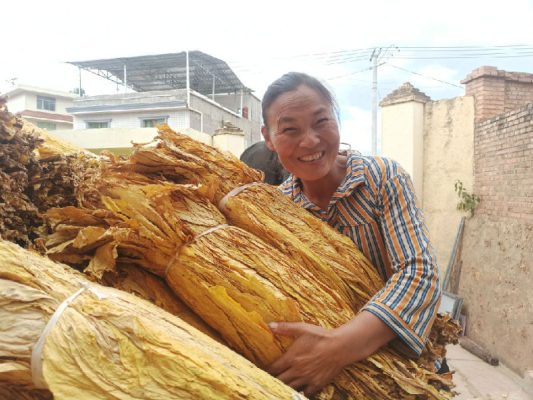 四川省会东县乌东德镇-会东网