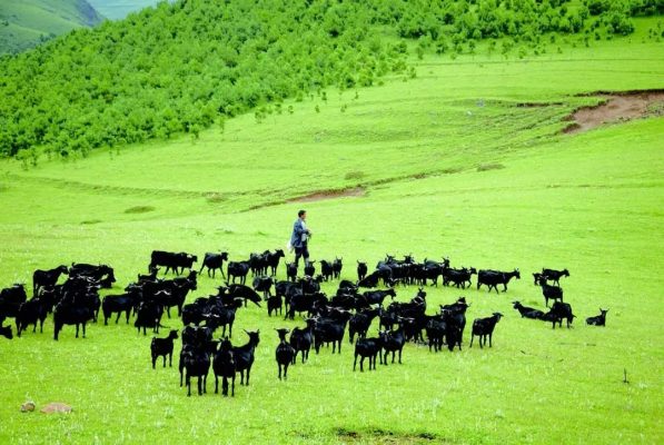 为建设社会主义现代化“川滇明珠”提供坚强政治保障-会东网